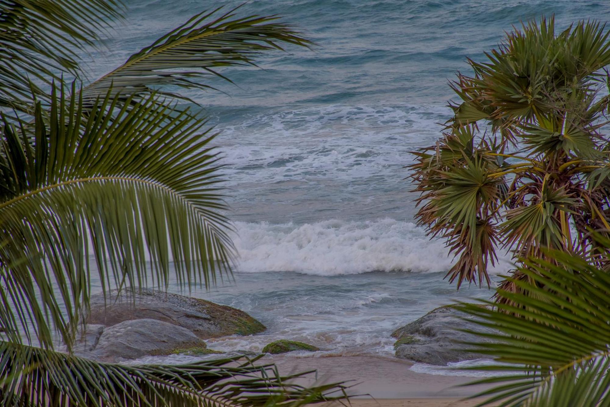 Nice Place Beach Hotel Baie d'Arugam Extérieur photo